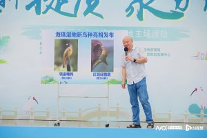 1980年后首现广州野外！海珠湿地发现稀有鸟类红领绿鹦鹉