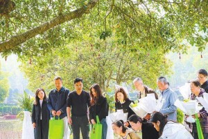 湖北省6万余名逝者选择生态环保葬 归尘处自有青山