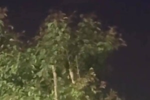 新疆多地出现不明飞行物，气象局回应