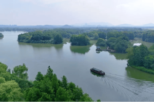 生态小侦探上线！萌娃解锁湿地生物多样性“密码”