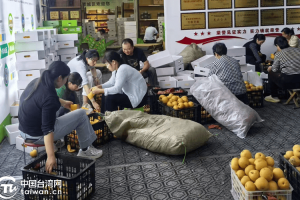 台胞热心助农 真情温暖两岸
