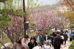 登羽山寻鲧禹踪迹 探生态修复新画卷