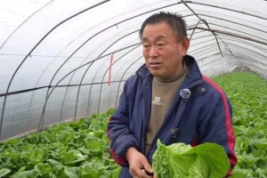 “滞销菜”变“暖心菜”，我们还能做些什么？ | 农视点