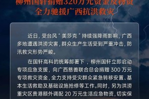 捐赠320万元现金及物资，国轩高科驰援广西灾区