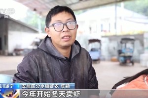 小龙虾错峰上市带动农民增收 四川遂宁实现“四季有虾”
