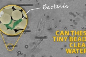 微型机器人能清理微塑料和细菌