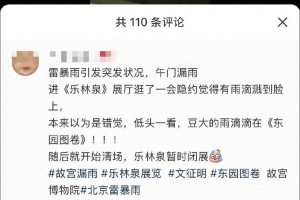 故宫漏雨致明代书画被淋湿？馆方回应