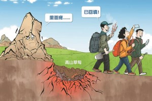 游客破坏生态，理应被追责