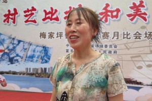 富平县梅家坪镇“村艺比拼 和美同行”才艺大赛月比活动举办