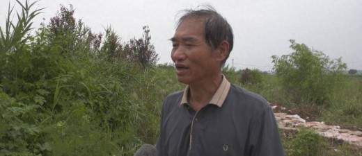 【防汛一线显担当】富平县流曲镇：固堤排涝 干群齐心战汛情