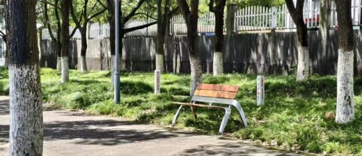 千张“爱心长椅”安放城市温柔，点亮民生微幸福