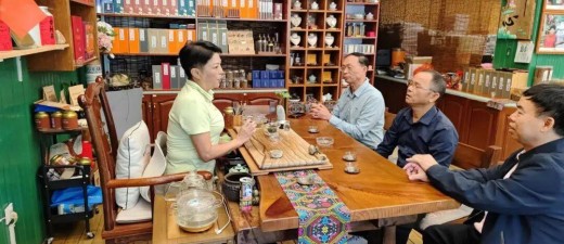 五指山市侨联党支部开展“自贸港先锋行动”志愿服务活动