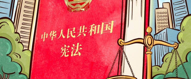 良法善治｜宪法的生命在于实施